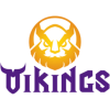 MGN Vikings Academy